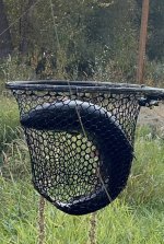 IMG_6128.jpeg