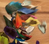 IMG_6665.jpeg IMG_6665.jpeg