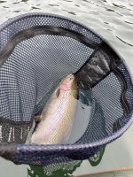 IMG_2370.jpeg