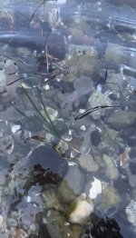 IMG_8139.jpeg
