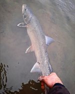 IMG_20231114_195032_606.jpg