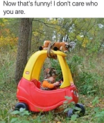 1700105234092.png