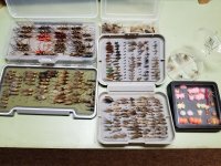 20231117_035202.jpg