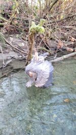 VideoCapture_20231117-161518.jpg