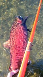 VideoCapture_20231117-162048.jpg