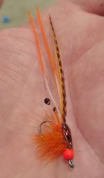 IMG_20231117_183042540.jpg