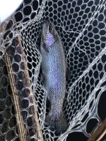 IMG_1374.jpeg