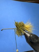 IMG_2389.jpeg