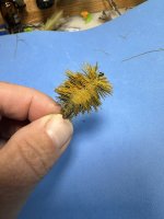 IMG_2397.jpeg