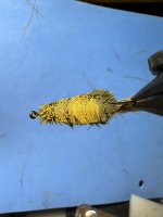IMG_2399.jpeg