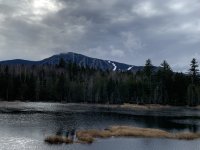IMG_2990.jpeg