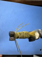 IMG_2403.jpeg