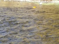 20231103_113852.jpg