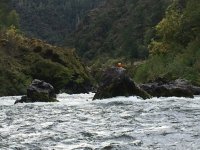 IMG_2902.jpeg