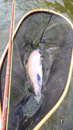 VideoCapture_20231120-125324.jpg