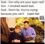 1700533579779.png