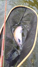 VideoCapture_20231120-211004.jpg