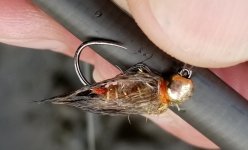 20231120_fly.jpg