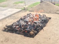 IMG_5257.jpeg