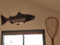 IMG_20231121_111008338.jpg