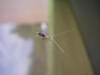 IMG_0396.jpeg