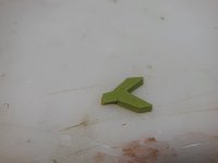 RABBIT FROG 3.JPG RABBIT FROG 3.JPG
