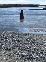 IMG_1640.JPG IMG_1640.JPG