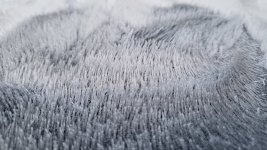 20231120_072338.jpg