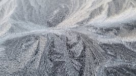 20231120_072408.jpg