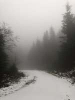25D48564-321E-4BE9-81CF-6EA6835552F5.jpeg