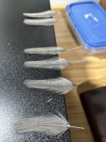 IMG_0839.jpeg