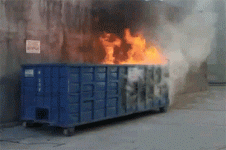 1000004010.gif