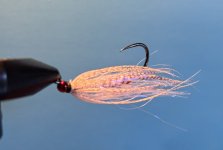 IMG_4617.jpeg IMG_4617.jpeg