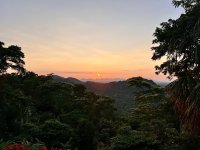 IMG_3600.jpeg