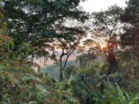 IMG_3593.jpeg