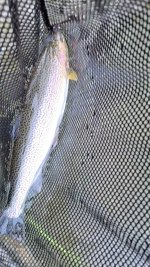 VideoCapture_20231125-172050.jpg
