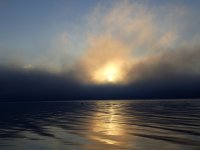 IMG_5642.jpeg