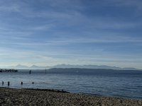 IMG_4638.jpeg