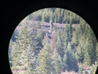 IMG_6397.jpeg