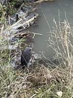 IMG_2561.jpeg