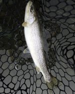 IMG_5732.jpeg IMG_5732.jpeg