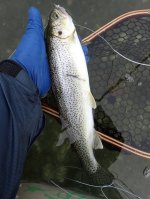 IMG_5734.jpeg IMG_5734.jpeg