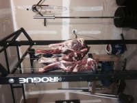 IMG_1048.jpeg IMG_1048.jpeg