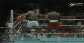 rope-a-dope-min.gif rope-a-dope-min.gif