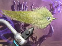 IMG_8524.jpeg