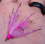 IMG_20231126_201203075.jpg