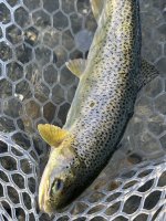 IMG_8177.jpeg