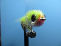 IMG_0803.JPG