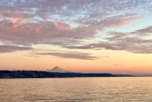IMG_3654.jpeg