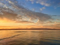 IMG_3652.jpeg
